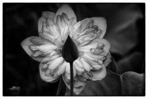 It is whatever you think